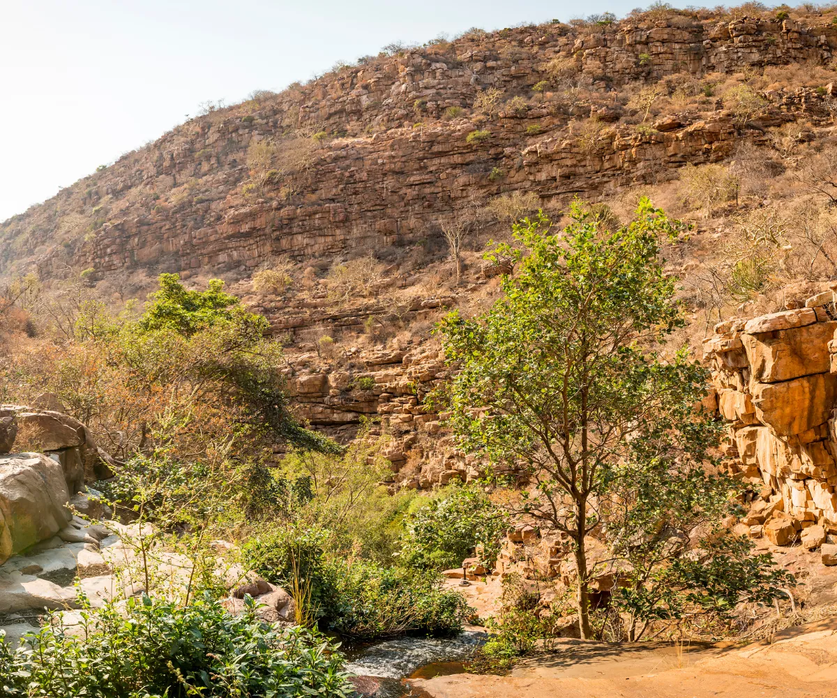 The Golden Triangle — Where Rivers Meet Countries — gallery 1