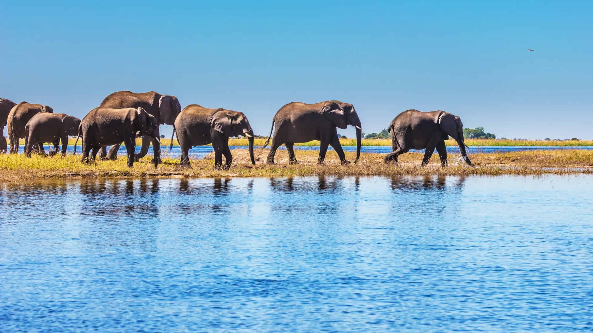 The Climax Zone — Namibia Botswana & Victoria Falls — gallery 2
